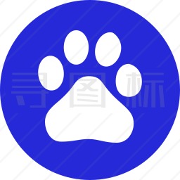 日韩不卡手机视频在线观看